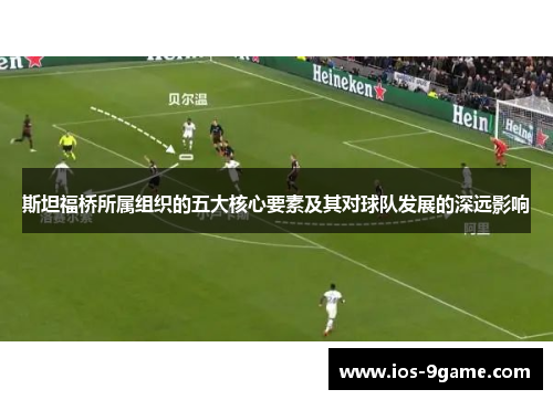 斯坦福桥所属组织的五大核心要素及其对球队发展的深远影响