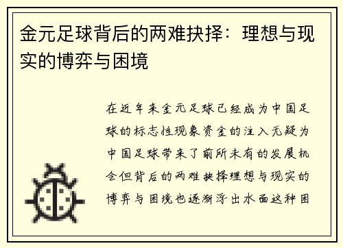金元足球背后的两难抉择：理想与现实的博弈与困境